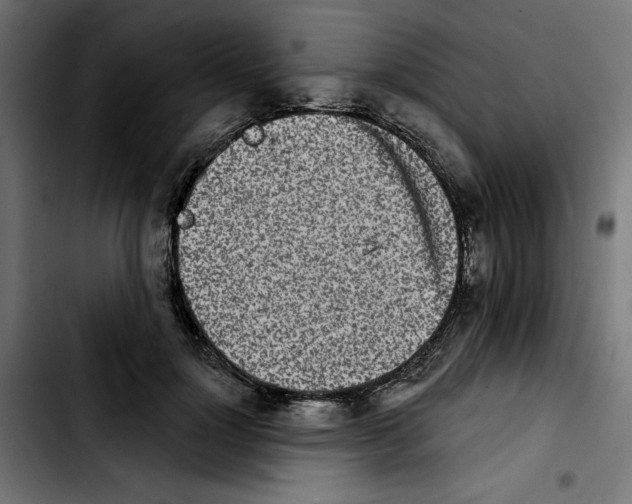 X0000103910748200810311432