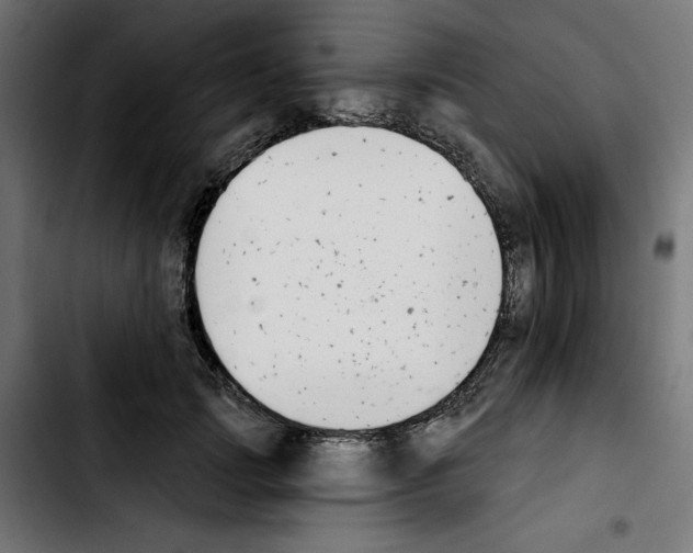 X0000103910749200810311432