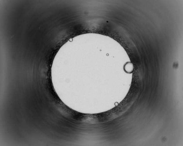 X0000103910750200810311432