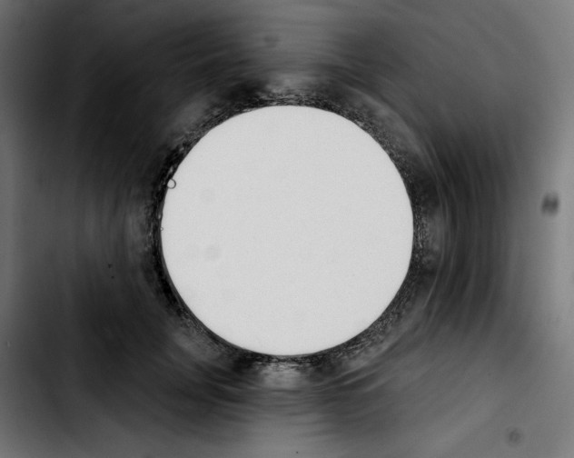 X0000103910751200810311432