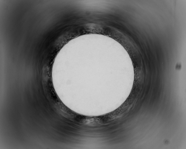 X0000103910752200810311432