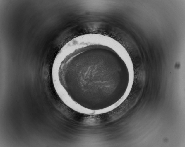 X0000103910754200810311432