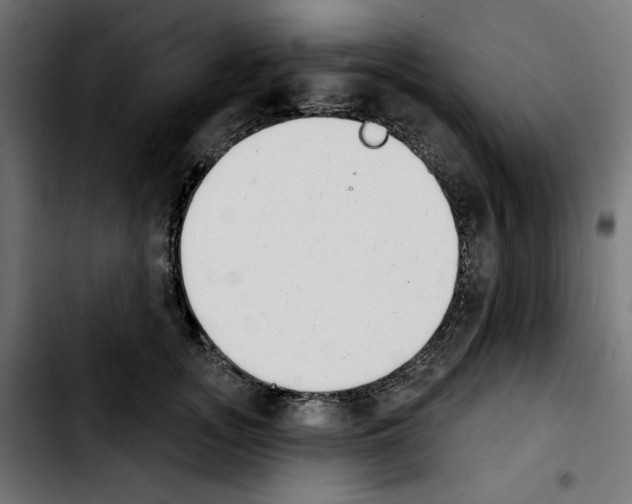 X0000103910755200810311432