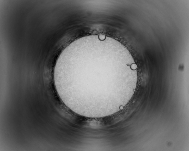 X0000103910756200810311432