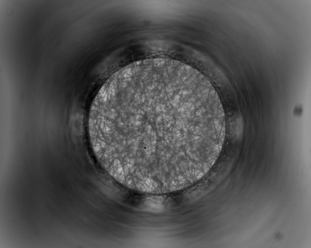 X0000103910757200810311432
