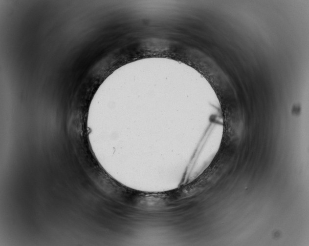 X0000103910758200810311432