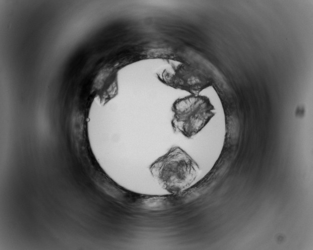 X0000103910761200810311432