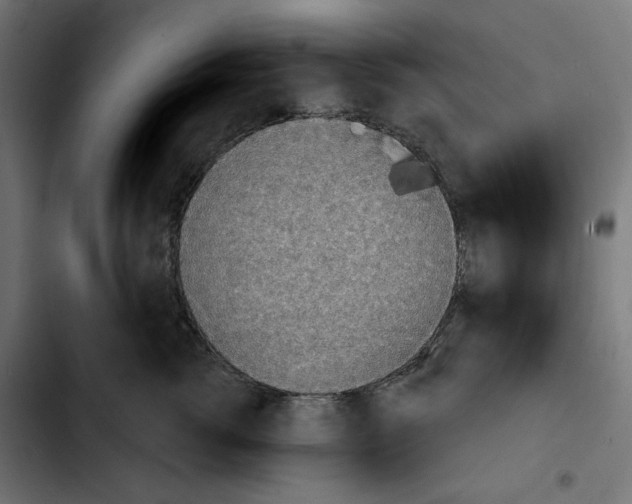 X0000103910762200810311432