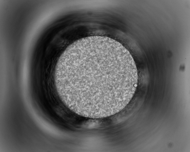 X0000103910764200810311432