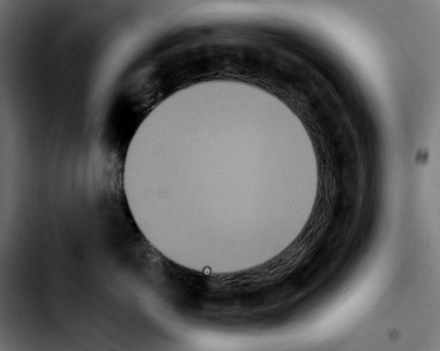 X0000103910766200810311432