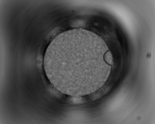 X0000103910767200810311432