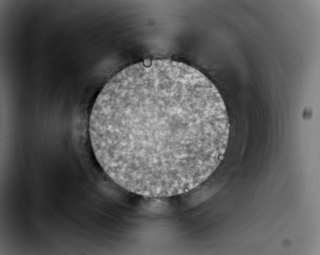X0000103910768200810311432