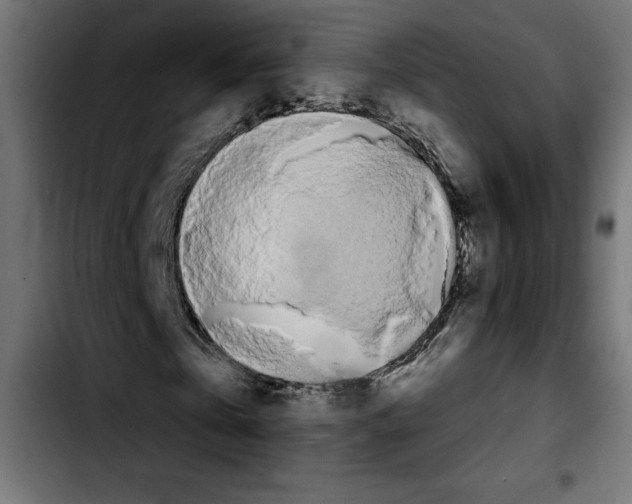 X0000103910769200810311431