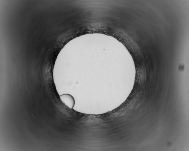X0000103910770200810311431
