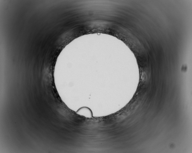 X0000103910771200810311431