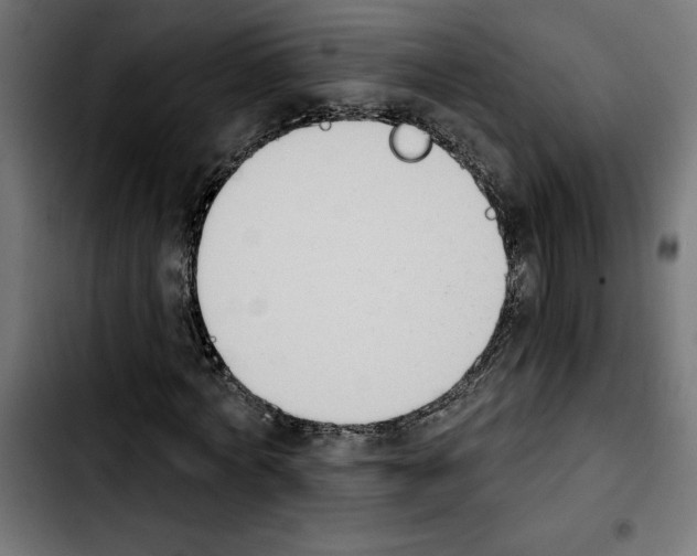 X0000103910772200810311431