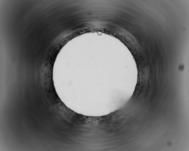 X0000103910773200810311431