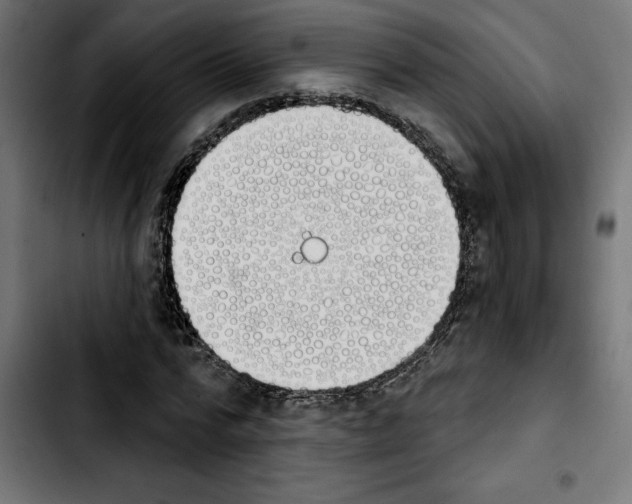 X0000103910776200810311431