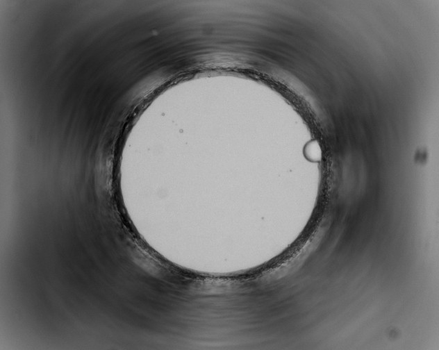 X0000103910777200810311431
