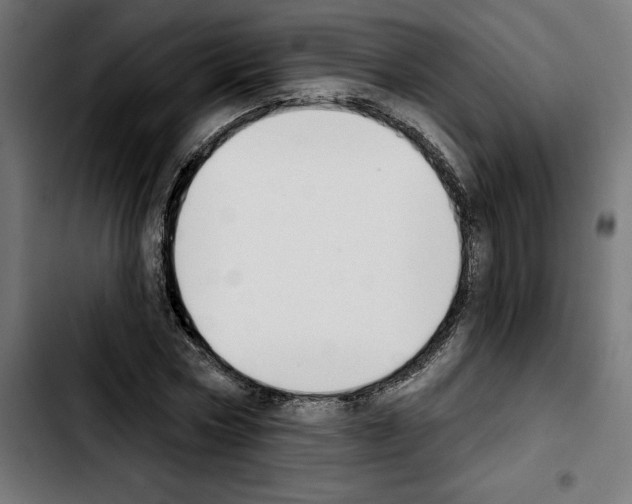 X0000103910778200810311431