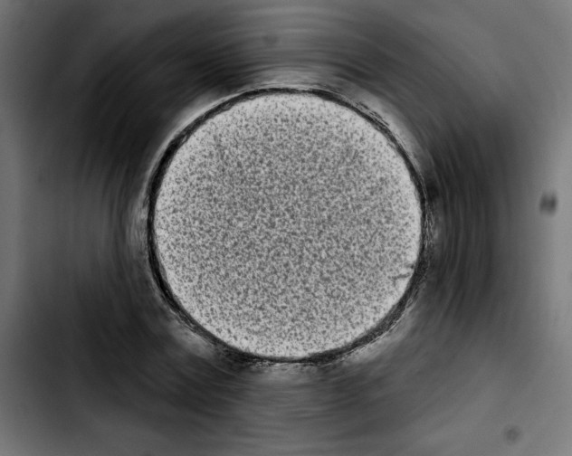 X0000103910779200810311431