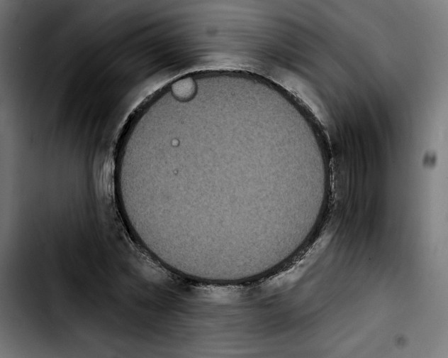 X0000103910781200810311431