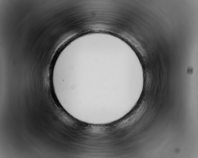 X0000103910782200810311431
