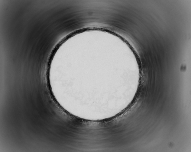 X0000103910783200810311431