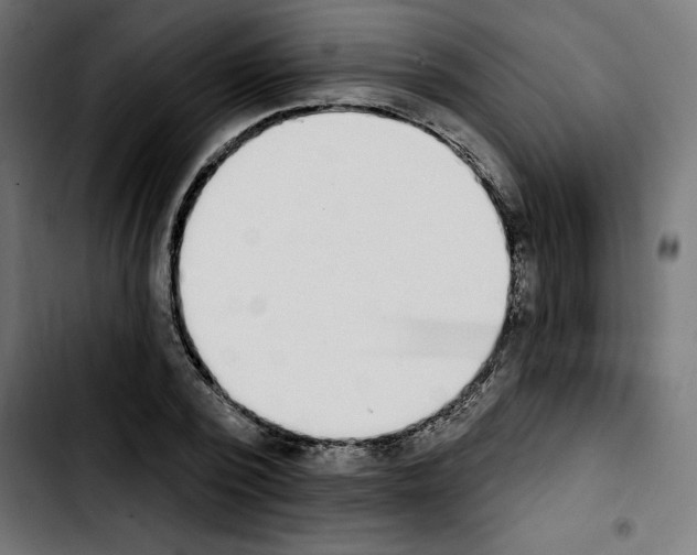 X0000103910784200810311431
