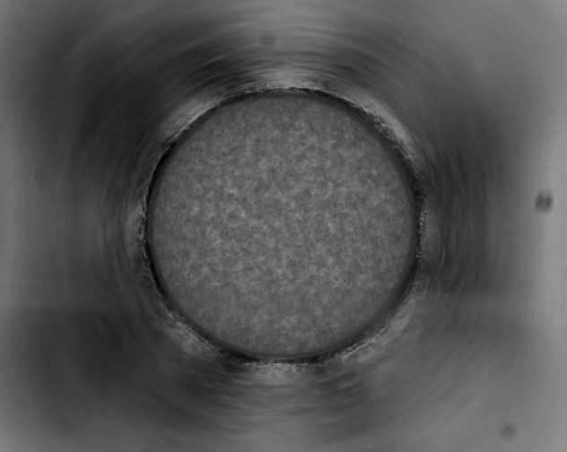X0000103910785200810311431