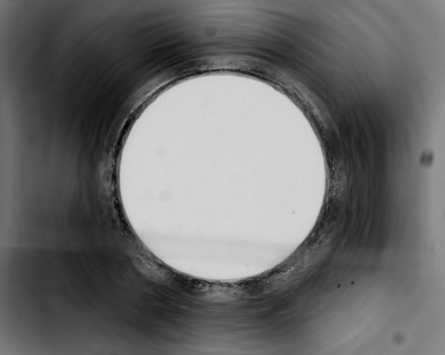 X0000103910786200810311431