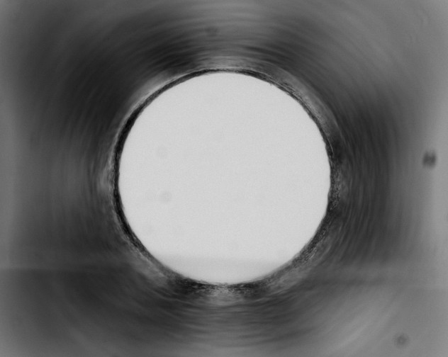 X0000103910787200810311431