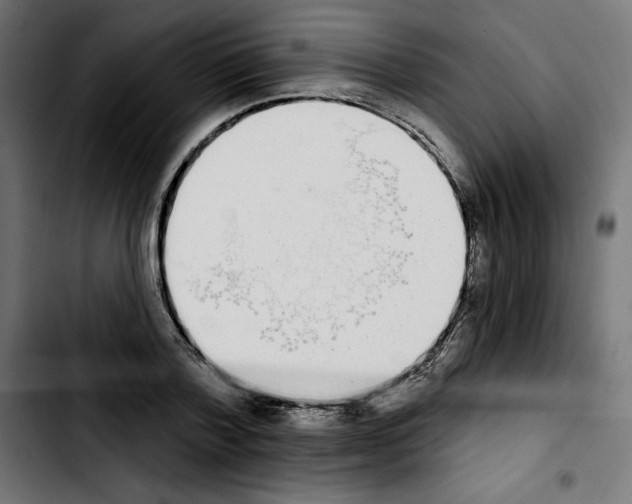 X0000103910788200810311431