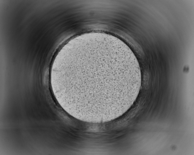 X0000103910790200810311431