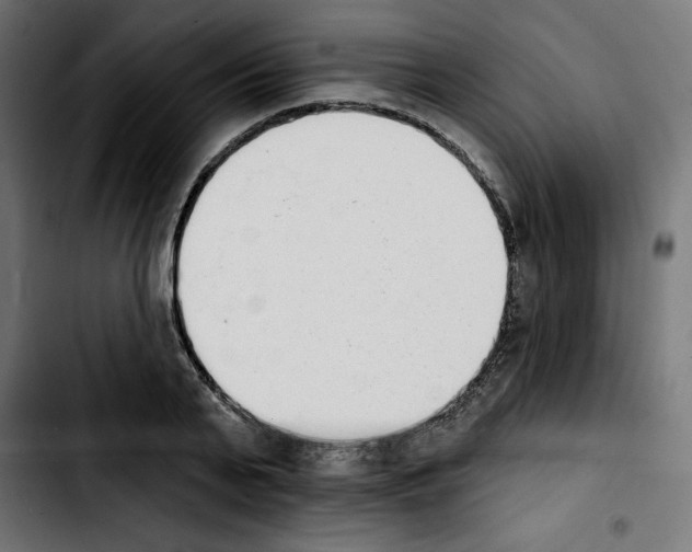 X0000103910791200810311431
