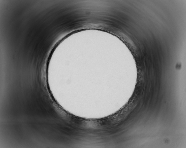 X0000103910792200810311431