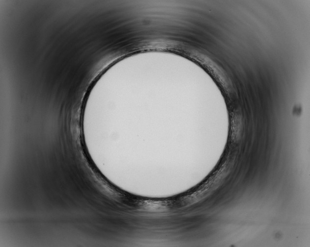 X0000103910794200810311431