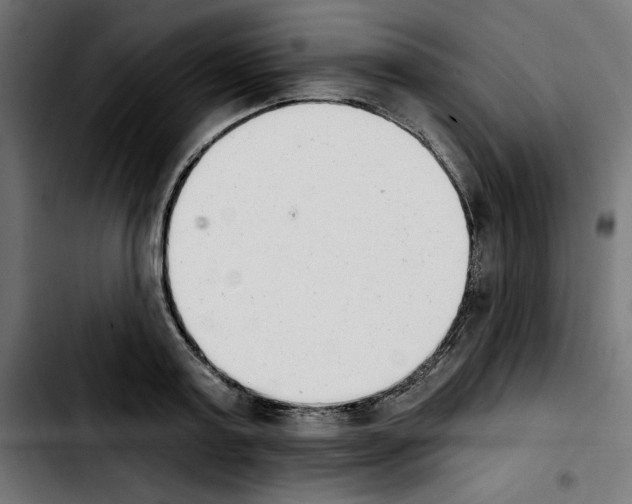 X0000103910795200810311431