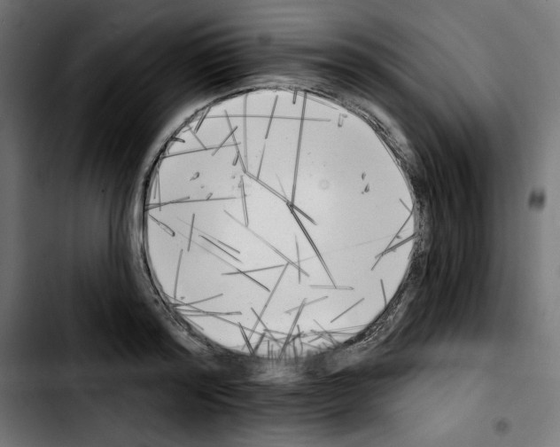 X0000103910796200810311431