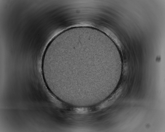X0000103910797200810311431