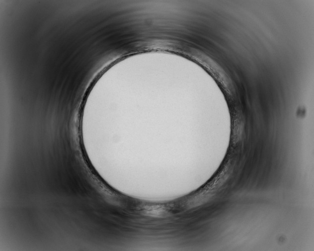 X0000103910798200810311431