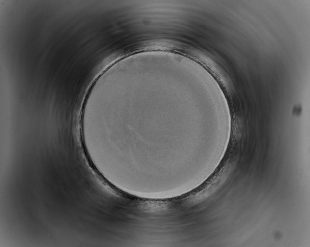 X0000103910802200810311431