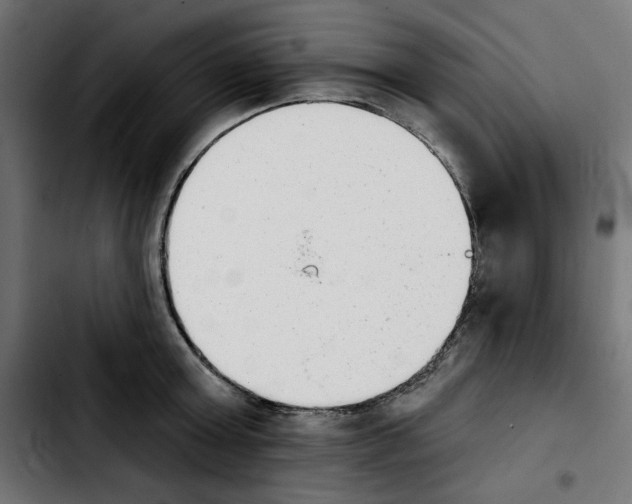 X0000103910803200810311431