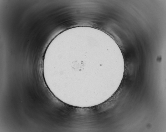 X0000103910804200810311431
