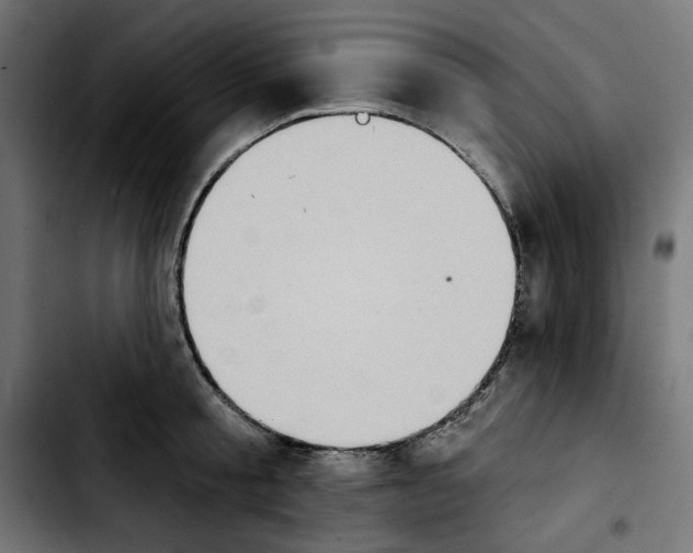 X0000103910805200810311431
