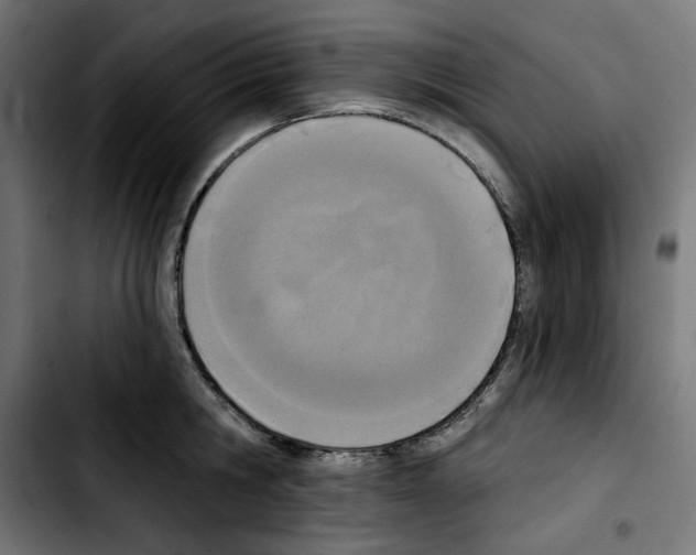 X0000103910806200810311431