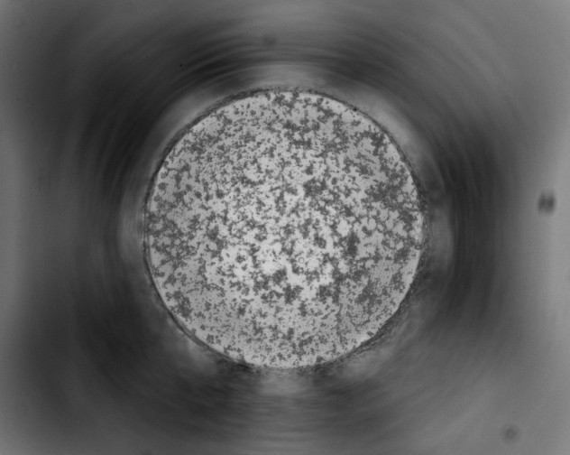 X0000103910807200810311431