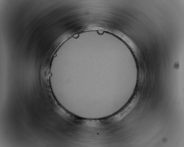 X0000103910809200810311431