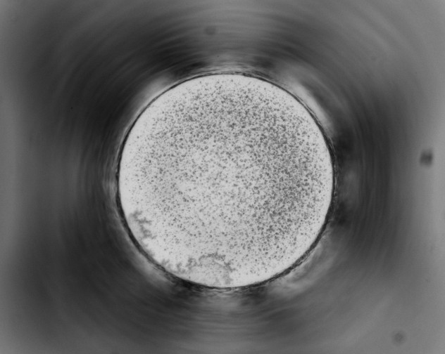 X0000103910810200810311431