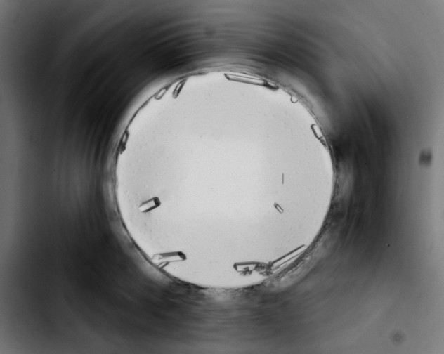 X0000103910812200810311431